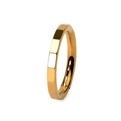 Eleganter facettierter Titanring