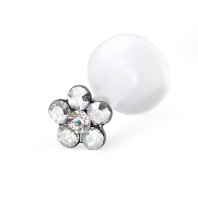 Labret mit einer Blume