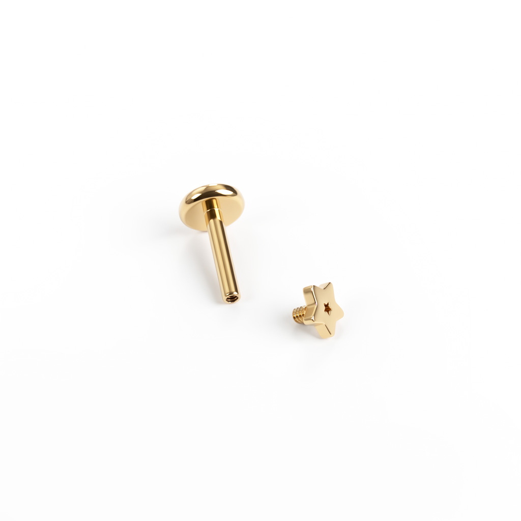 Kleines Stern-Labret aus Titan