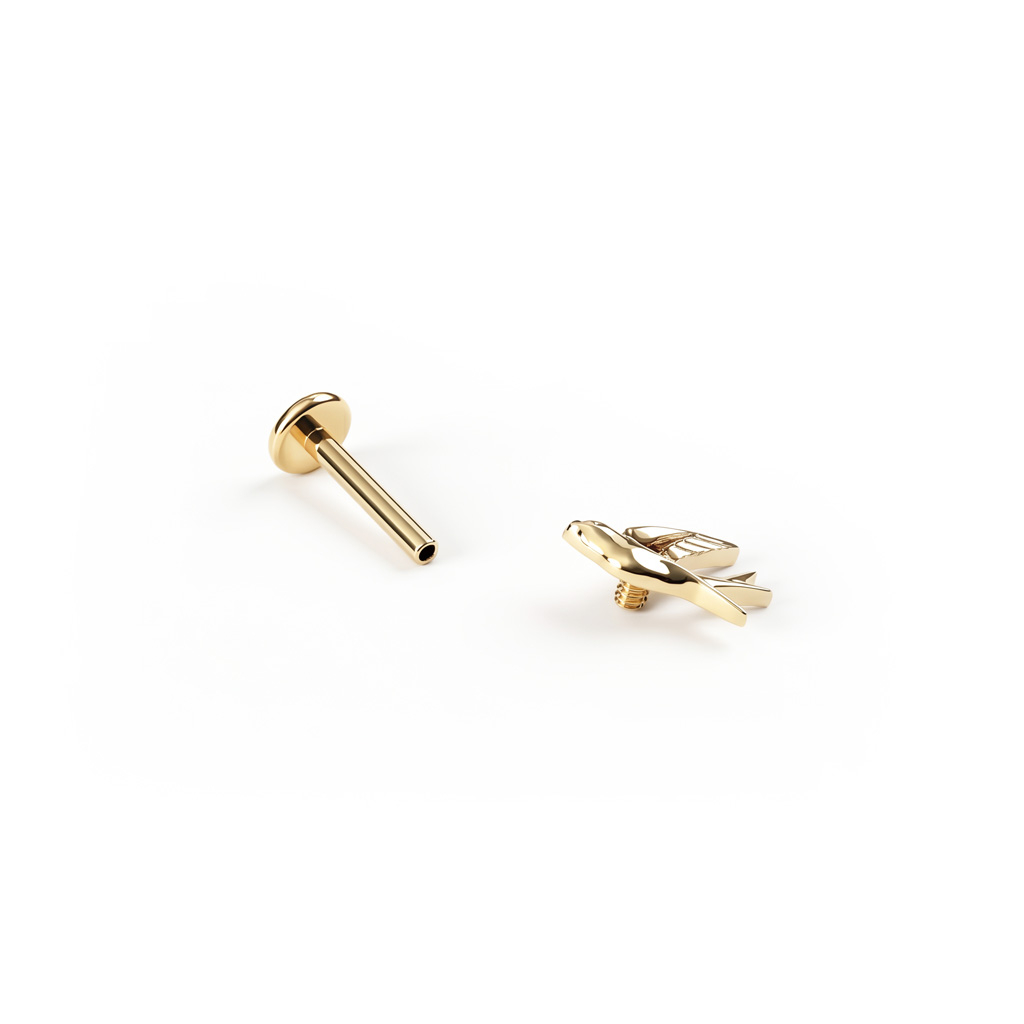 Schwalben-Labret aus Titan