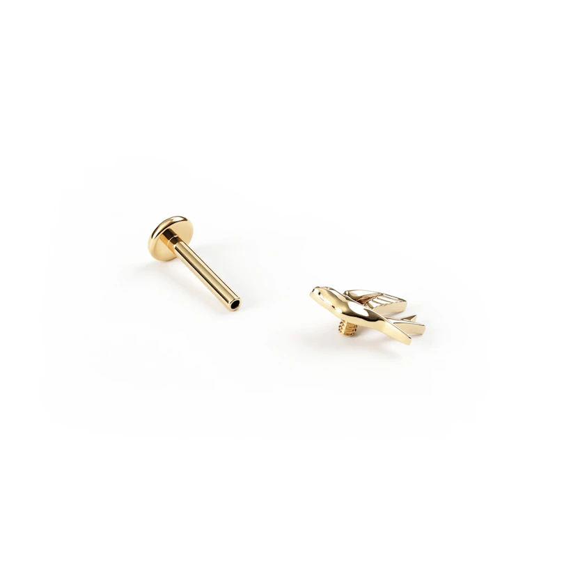 Schwalben-Labret aus Titan