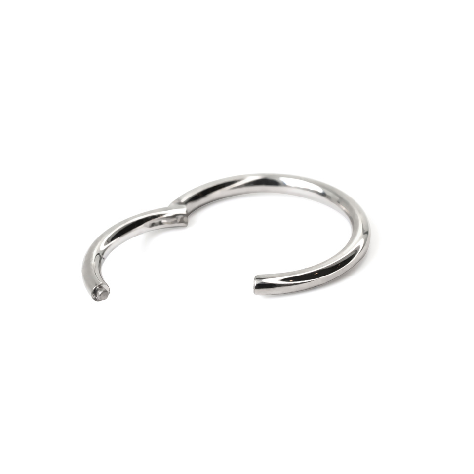 Scharnierring aus Titan