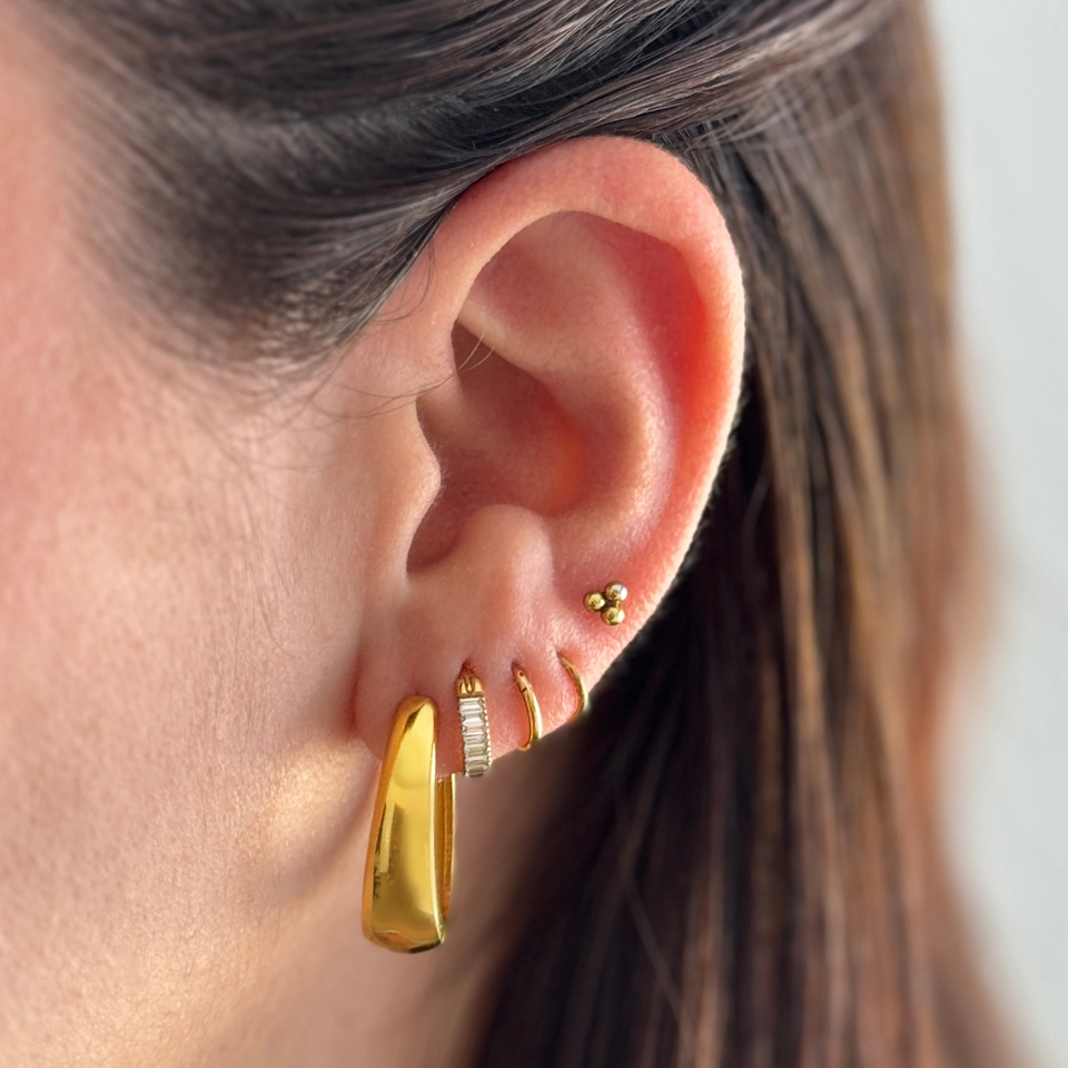 Paar ovaler Ohrringe