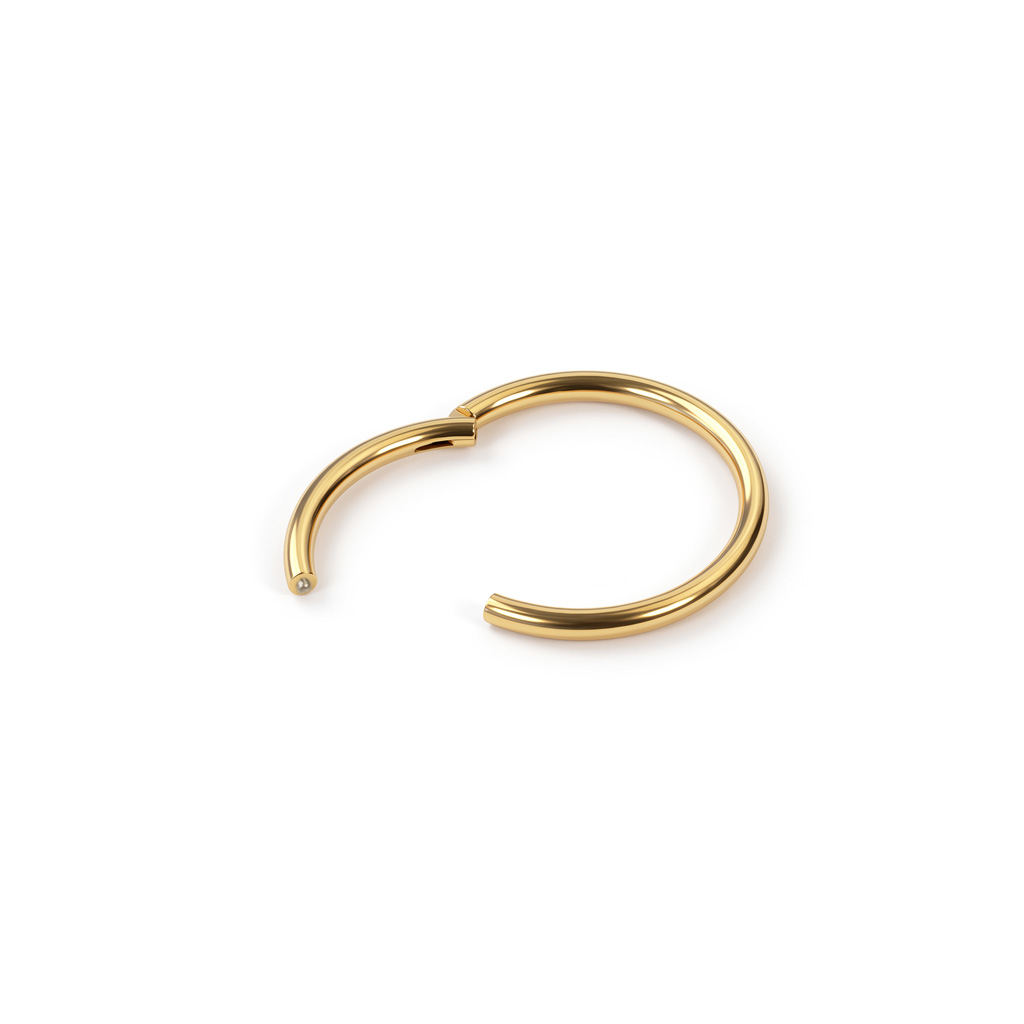 24K vergoldeter Titan-Scharnierring